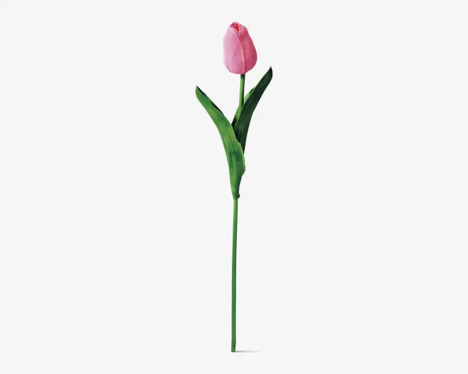 Tulipaner plast 10 stk.