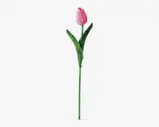 Tulipaner plast 10 stk. 