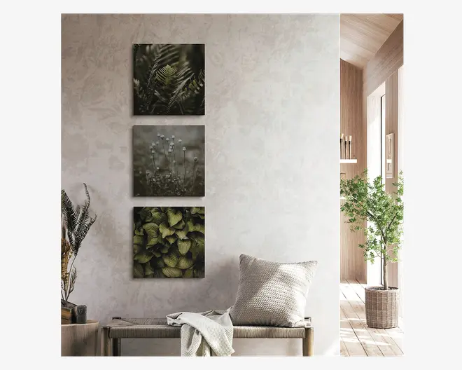 Et sæt af tre kvadratiske vægkunsttryk arrangeret lodret, hver med et botanisk tema. Det øverste tryk viser et nærbillede af grønne bregneblade, det midterste tryk viser fine vilde blomster med en blød, dæmpet baggrund, og det nederste tryk har frodige grønne hostablade. Trykkene er monteret på en lys, tekstureret væg over en træbænk med en neutral pude og et lyst tæppe.