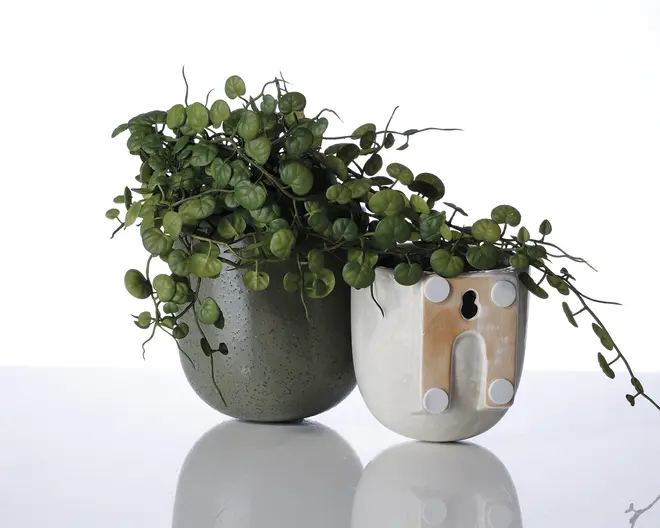 To keramiske urtepotter står side om side. Den venstre potte er mat, mørkegrøn og let plettet med en rund form. Den højre potte er blank hvid med en beige accent og har fire runde, hvide puder samt et nøglehulsformet ophæng på bagsiden, hvilket viser, at den kan hænges op på væggen. Begge potter indeholder en hængende plante med runde, grønne blade, der falder ud over kanterne.