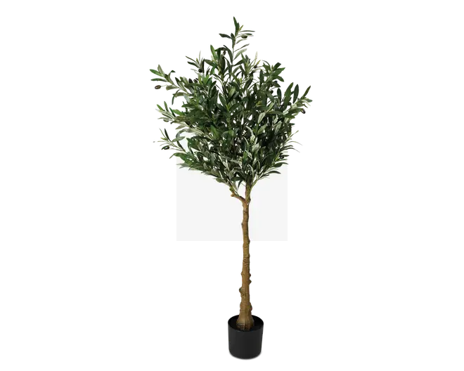 Høj kunstig plante med en realistisk brun stamme og tætte, blanke grønne blade med lysere underside. Planten står i en enkel, sort, cylindrisk potte. Løvet er fyldigt og busket, hvilket giver et naturligt udseende, der egner sig til indendørs dekoration.