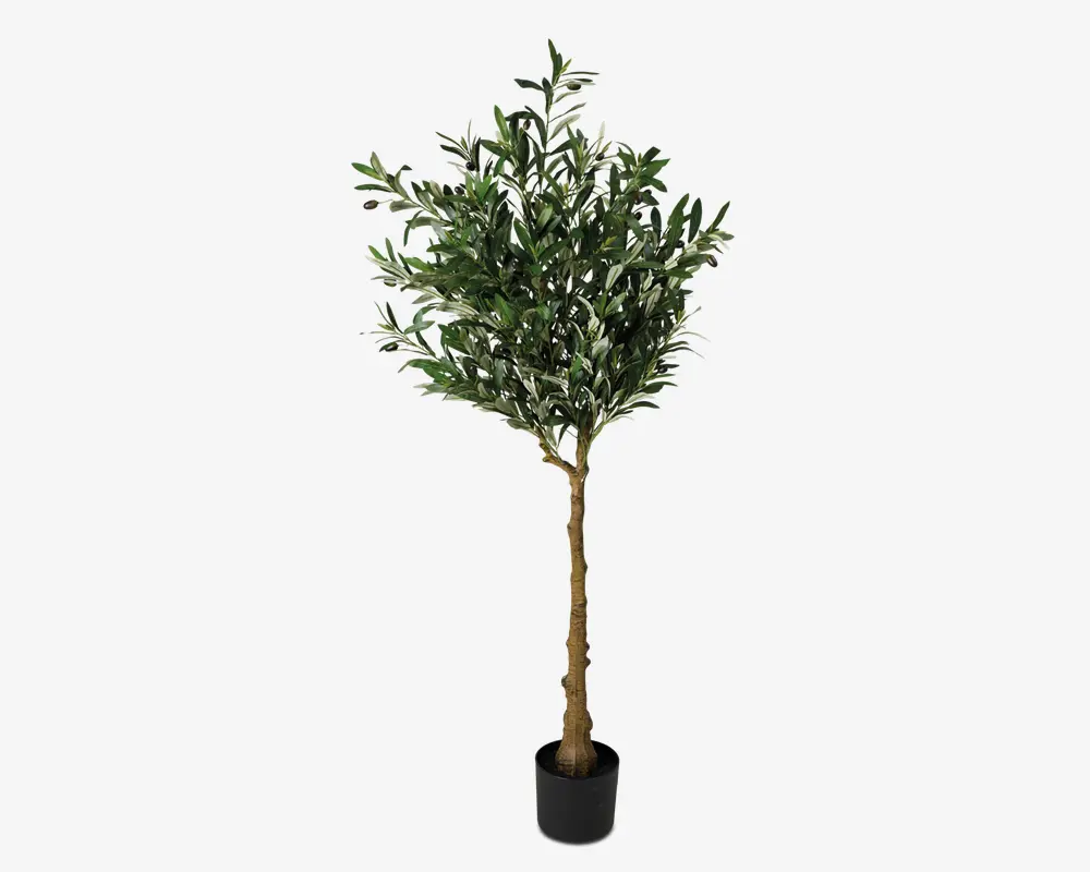 Høj kunstig plante med en realistisk brun stamme og tætte, blanke grønne blade med lysere underside. Planten står i en enkel, sort, cylindrisk potte. Løvet er fyldigt og busket, hvilket giver et naturligt udseende, der egner sig til indendørs dekoration.