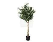 Høj kunstig plante med en realistisk brun stamme og tætte, blanke grønne blade med lysere underside. Planten står i en enkel, sort, cylindrisk potte. Løvet er fyldigt og busket, hvilket giver et naturligt udseende, der egner sig til indendørs dekoration.