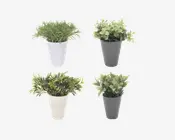 Plante i potte ass H.24 cm