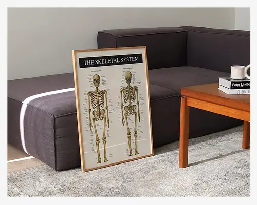 Plakat Skelettet