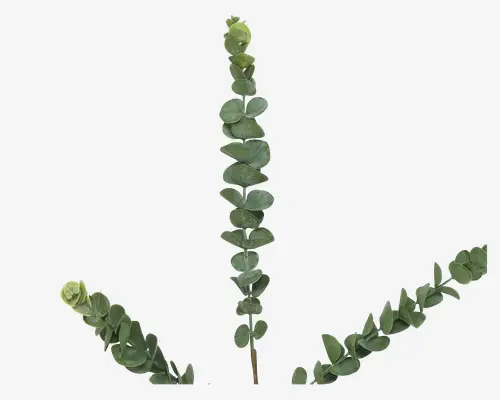 Stilk Eucalyptus Grøn H.70 cm