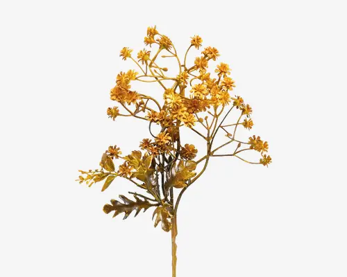Stilk med blomst burned H.35 cm