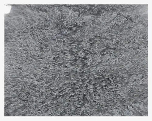 Tibetansk Lammeskind Grå B.50 x L.90 cm