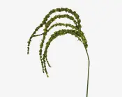 Stilk rævehale grøn L.115 cm 