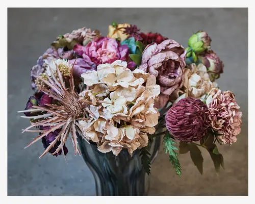 Stilk Protea Lyserød H.42 cm