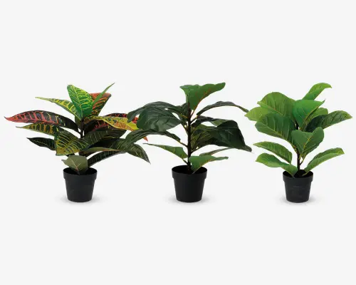 Sæt med tre kunstige potteplanter, hver med forskellige bladmønstre og farver. Planten til venstre har lange, smalle blade med livlige grønne, gule og røde nuancer. Planten i midten har brede, blanke mørkegrønne blade med diskrete røde stilke. Planten til højre har store, ovalformede blade i en lysere grøn farve med svage gule årer. Alle planter står i enkle sorte potter.