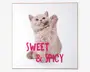 Billede kitten - Sweet & spicy