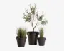Sæt med tre kunstige planter i sorte plastikpotter. Den største plante har en træagtig struktur med flere grene og grønne blade. De to mindre planter har høje, tynde, græsagtige blade med hvide spidser, hvilket giver et blødt og naturligt udseende. Alle potter har en enkel, mat finish og en let tilspidset form.