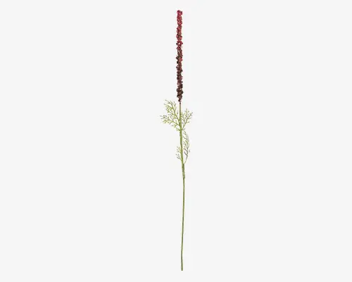 En enkelt kunstig blomsterstilk med en høj, slank grøn stilk og fine, fjerlignende blade, der forgrener sig omkring midten. Toppen af stilken er prydet med en tæt, aflang klase af små, bordeauxrøde blomster, som giver et tekstureret og livligt udtryk.