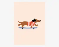 Illustration af en brun gravhund iført en rød og hvidstribet sweater og sorte ørevarmere, der kører på et blåt skateboard på en lys beige baggrund.