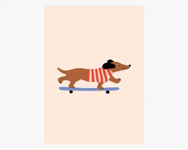Illustration af en brun gravhund iført en rød og hvidstribet sweater og sorte ørevarmere, der kører på et blåt skateboard på en lys beige baggrund.