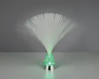 En dekorativ lampe med en samling fine, hvide fiberoptiske tråde, der spreder sig ud fra en lille, konisk fod. Foden er oplyst med et blødt grønt lys, som bevæger sig op gennem fibrene og skaber en glødende effekt. Foden har et tekstureret, krystallignende udseende og en metallisk sølvkant nederst, hvilket giver et moderne præg til designet.