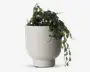 En hvid keramisk urtepotte med mat, let plettet overflade og lodret rillet struktur på den øverste halvdel. Urtepotten har en rund form med en kort sokkel. Den indeholder en hængende kunstig plante med små, runde grønne blade, der falder ud over kanten.