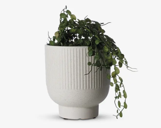 En hvid keramisk urtepotte med mat, let plettet overflade og lodret rillet struktur på den øverste halvdel. Urtepotten har en rund form med en kort sokkel. Den indeholder en hængende kunstig plante med små, runde grønne blade, der falder ud over kanten.