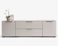 Et moderne, lavt opbevaringsmøbel med mat lysegrå finish. Det har to store centrale skuffer med slanke, vandrette greb, flankeret af to skabslåger på hver side, hver med matchende greb. Topfladen er flad og rummelig, velegnet til dekoration; på billedet står en potteorkidé og en rillet glasvase. Designet er minimalistisk med rene linjer og uden synlig udsmykning.