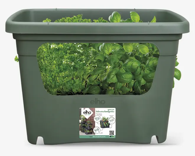Elho plastkasse plast grøn 