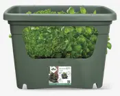 Elho plastkasse plast grøn 