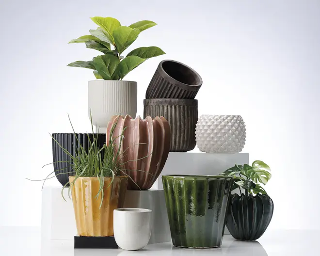 En samling keramiske urtepotter i forskellige former, størrelser og farver. Potterne har forskellige overfladestrukturer, herunder riflede, rillede og piggede designs. Farverne spænder fra hvid, sort og grå til gul, grøn og lyserød. Nogle potter har blanke overflader, mens andre er matte. Flere af potterne indeholder grønne planter, hvilket viser potternes anvendelse til indendørs beplantning.