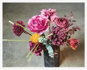 Stilk Pæon Pink H.71 cm 