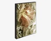 Klods Fading Scarlet 15x21 cm