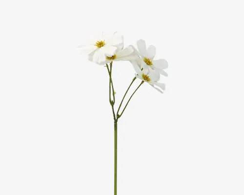 Kunstig blomsterstilk med tre hvide blomster, der ligner cosmos, med fine, let bølgede kronblade og gule midter. Blomsterne sidder på slanke grønne stilke og har et realistisk udseende med diskrete årer i kronbladene. Arrangementet er enkelt og elegant, velegnet til dekoration.