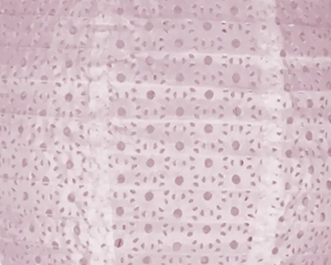 Lyserødt stof med et mønster af jævnt fordelte cirkulære prikker og små halvcirkelformede figurer. Materialet virker let krøllet og har en semi-transparent kvalitet, så noget lys kan trænge igennem. Designet giver et fint og luftigt udtryk, velegnet til dekoration eller mode.