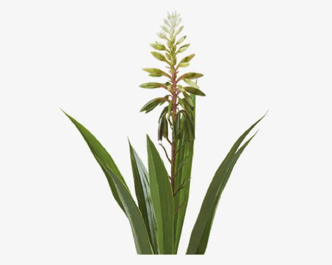 Hyacint Potte Ass H.35 cm