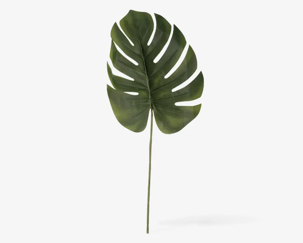 Stilk Monstera grøn H.61 cm 