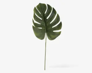 Stilk Monstera grøn H.61 cm 
