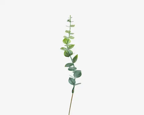 Stilk eukalyptus grøn H.46 cm