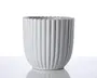 En hvid keramisk beholder med lodrette riller og bølget kant. Overfladen er blank, og formen er cylindrisk med en let afrundet bund. Designet er moderne og minimalistisk, velegnet til både dekoration og praktisk brug.