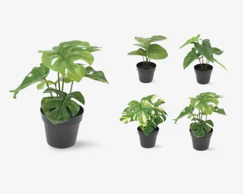 Sæt med fem kunstige potteplanter med brede, blanke grønne blade, hver i en lille sort plastikpotte. Bladene har en realistisk tekstur, og nogle har naturligt udseende spalter og brogede mønstre. Planterne varierer lidt i bladform og arrangement, hvilket giver et naturtro udseende, der egner sig til indendørs dekoration.