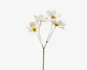 Kunstig blomsterstilk med tre fine hvide blomster, der har lette lyserøde nuancer og gule midter. Kronbladene er let buede, og blomsterne sidder på slanke grønne stilke, der forgrener sig fra én hovedstilk. Udseendet er realistisk og elegant, velegnet til dekorative arrangementer.