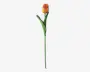 Tulipaner plast 10 stk.