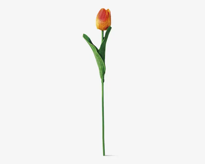 Tulipaner plast 10 stk.