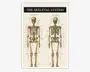 Plakat Skelettet 