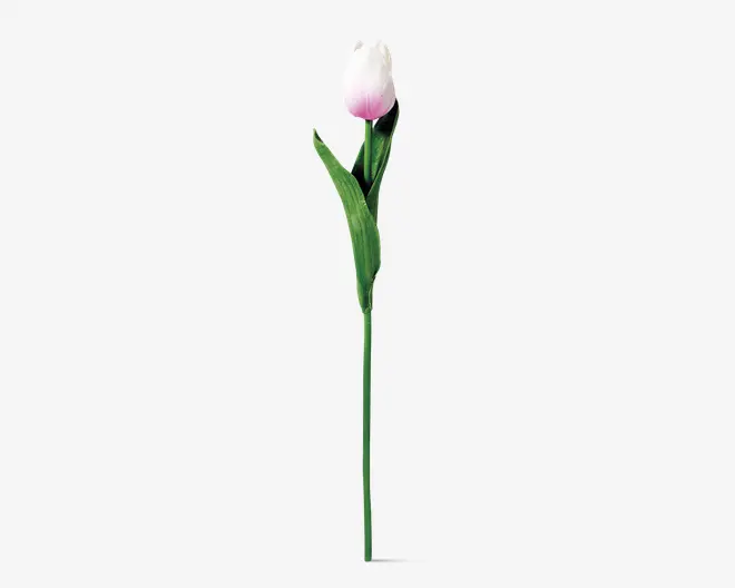 Tulipaner plast 10 stk.