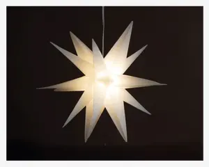 LED Stjerne 3D Hvid Ø.25cm