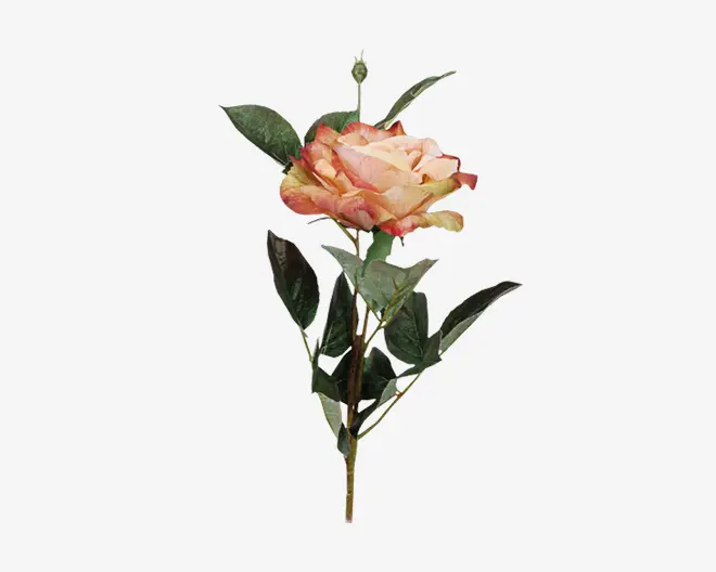 Rose stilk  ass 10x10x59 cm 