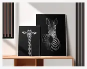 Plakat Giraf