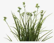 Græs Med Blomster Plastik H.55 cm 