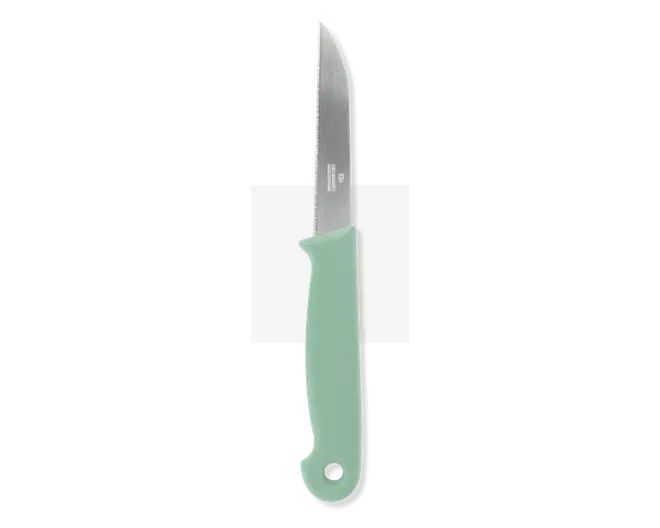 En lille kniv med et lige, rustfrit stålblad og en spids ende. Håndtaget er lysegrønt, ergonomisk formet for et behageligt greb og har et hul i enden til ophængning eller nem opbevaring.