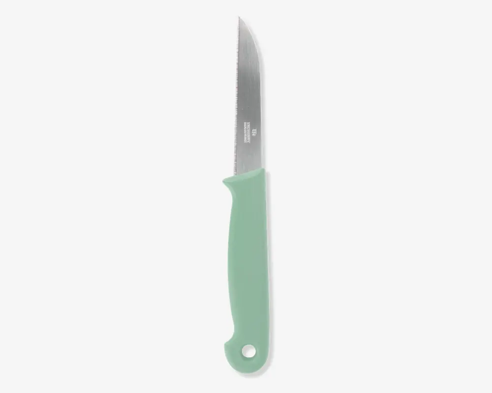 En lille kniv med et lige, rustfrit stålblad og en spids ende. Håndtaget er lysegrønt, ergonomisk formet for et behageligt greb og har et hul i enden til ophængning eller nem opbevaring.