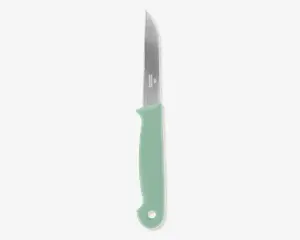 En lille kniv med et lige, rustfrit stålblad og en spids ende. Håndtaget er lysegrønt, ergonomisk formet for et behageligt greb og har et hul i enden til ophængning eller nem opbevaring.