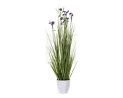 Græs i potte assorteret H.94 cm 